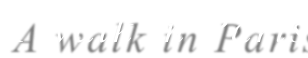 shapeimage_1_link_0