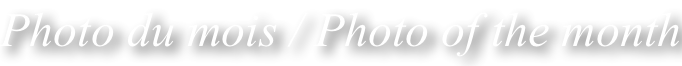 shapeimage_7_link_0
