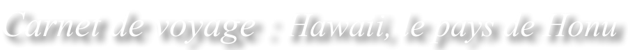 shapeimage_8_link_0